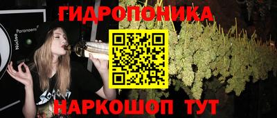 a pvp Донской