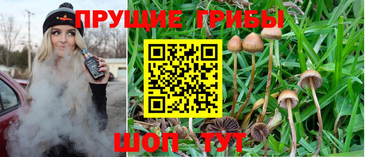 Михайловка  Псилоцибиновые грибы GOLDEN TEACHER  Вход с VPN 