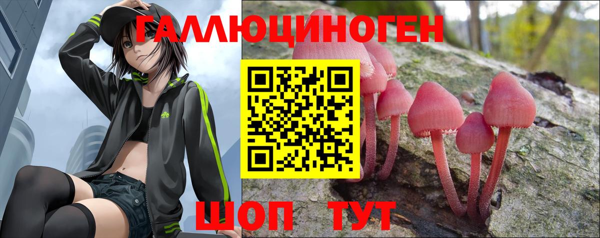 Псилоцибиновые грибы Psilocybe Михайловка